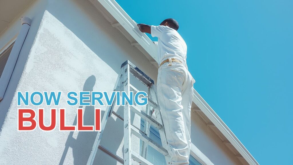Painting Services in Bulli